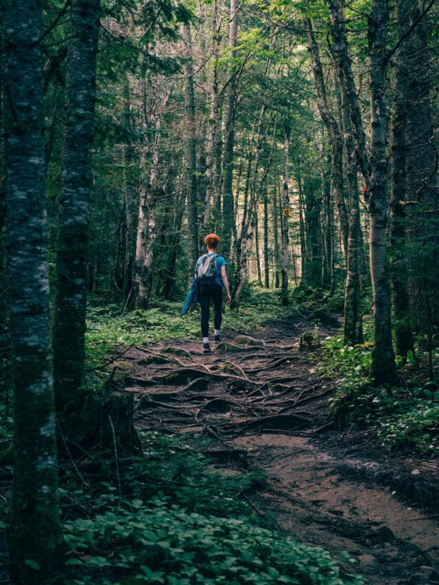 free-photo-of-woman-on-a-trip-in-a-forest