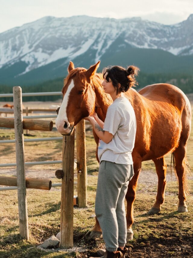 free-photo-of-woman-with-horse