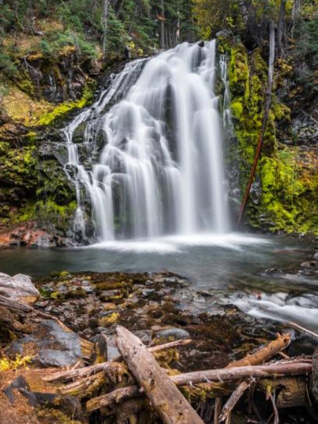 gettyimages-1138468387-612x612