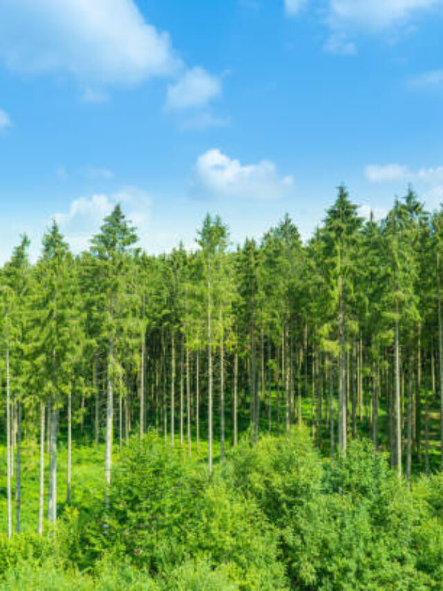 gettyimages-1187164869-612x612