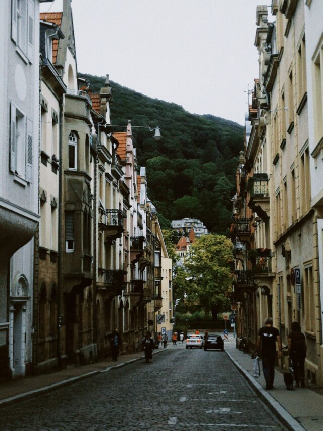 pexels-photo-11528864