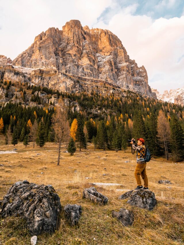 pexels-photo-3314280