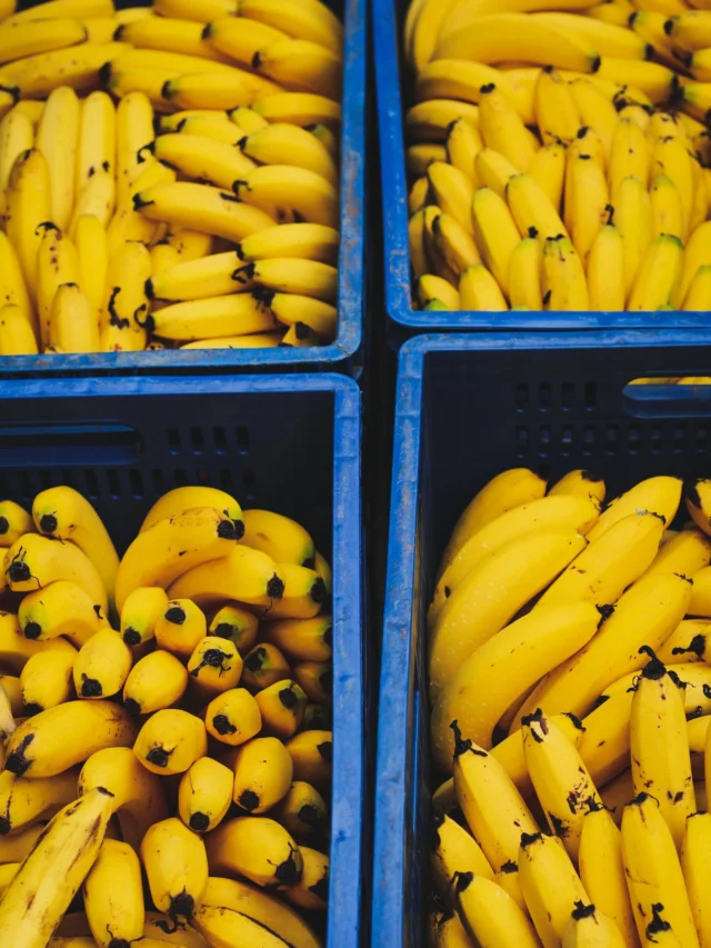 Top 10 Best Types Of Bananas In United State In 2023