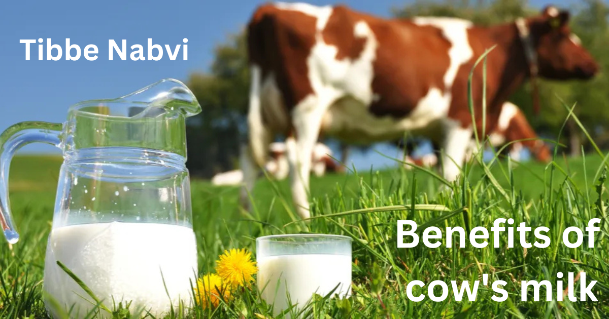 Tibbe Nabvi-Benefits of cow's milk